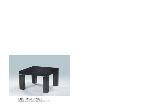 Brian Small Table.bmp